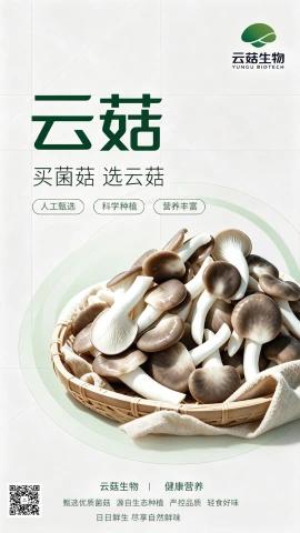 云菇生物产品电子图册