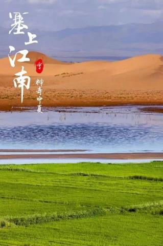 宁夏之行