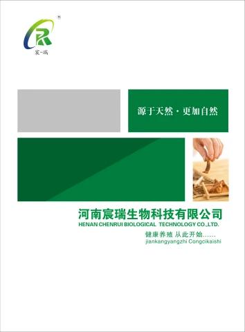 宸瑞画册
