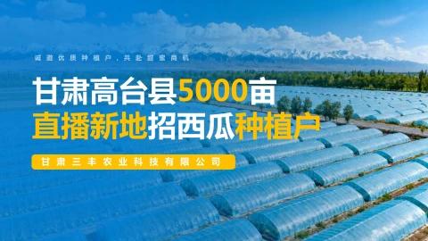 甘肃高台县5000亩直播新地，招西瓜种植户