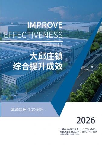 大邱庄镇产业集群