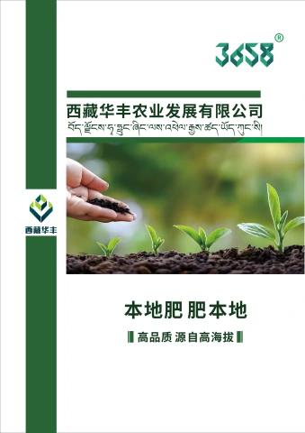 西藏华丰农业
